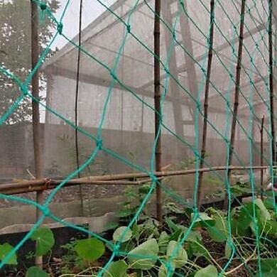 Lưới giàn leo, lưới giàn cây, lưới trồng cây leo, lưới trồng bầu bí cao 3m