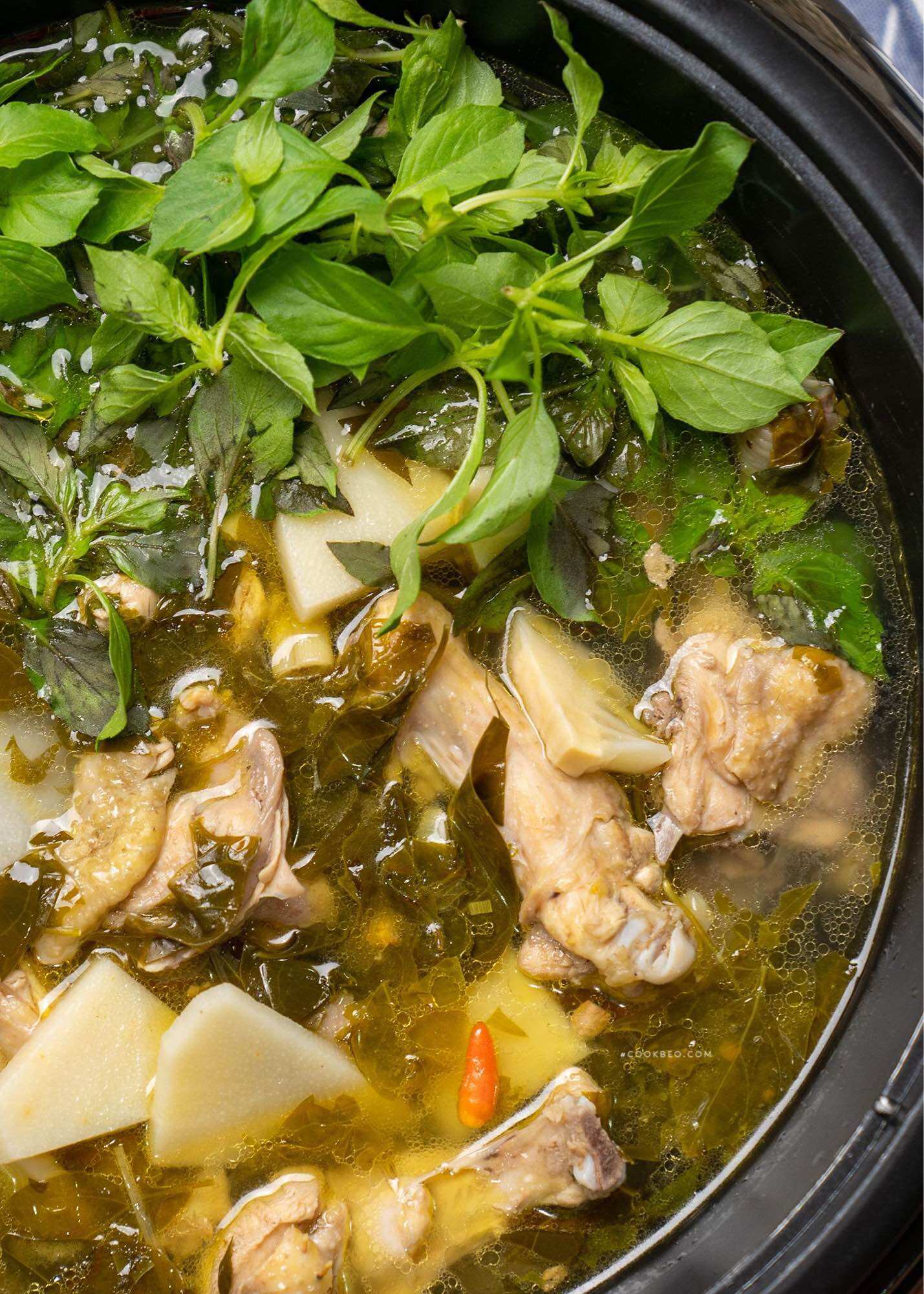 Cây lá é trắng nấu lẩu gà lá é (chậu lớn)