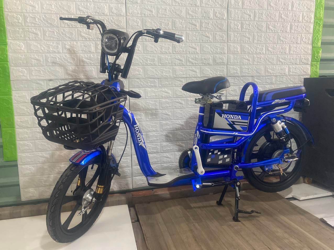 xe đạp điện asian