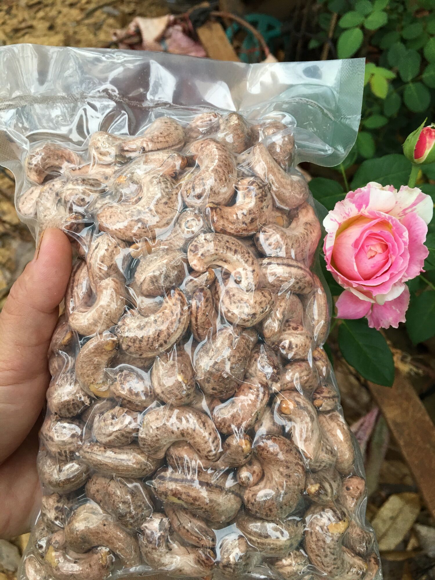 Hạt điều a cồ túi zip 500gr
