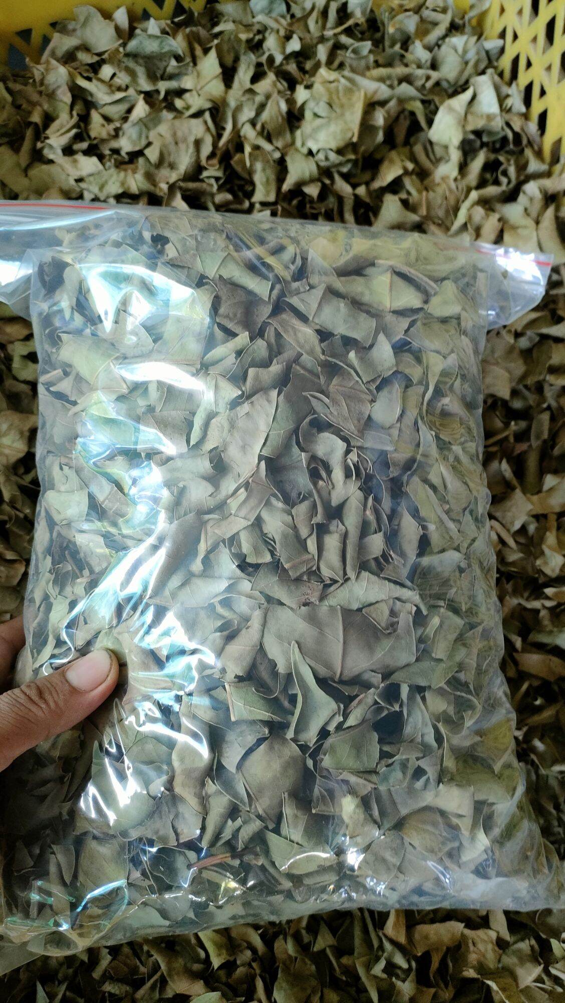 Lá vối khô
