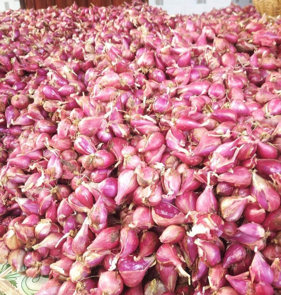 Hành tím phang rang phi loại 1 (200gr)