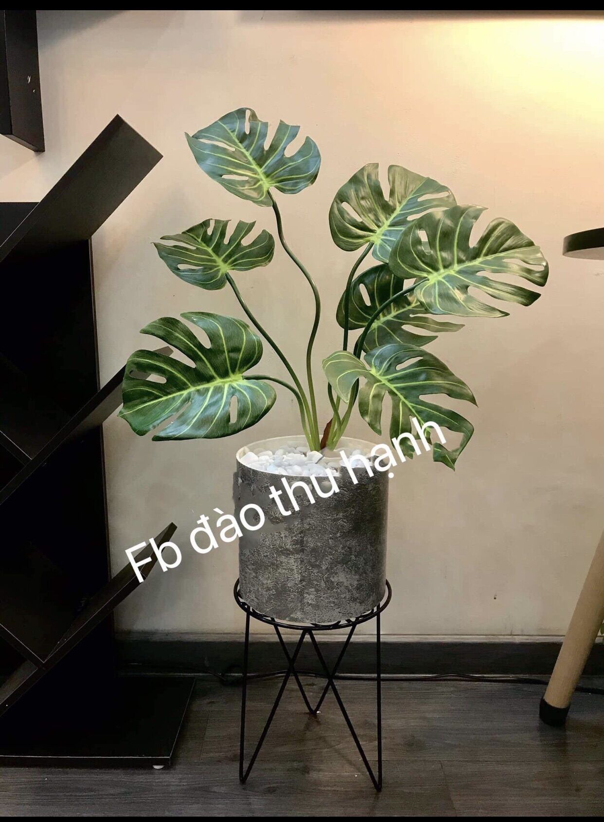 Cây giả decor- cây montera giả cao 80cm (đã bao gồm chậu)