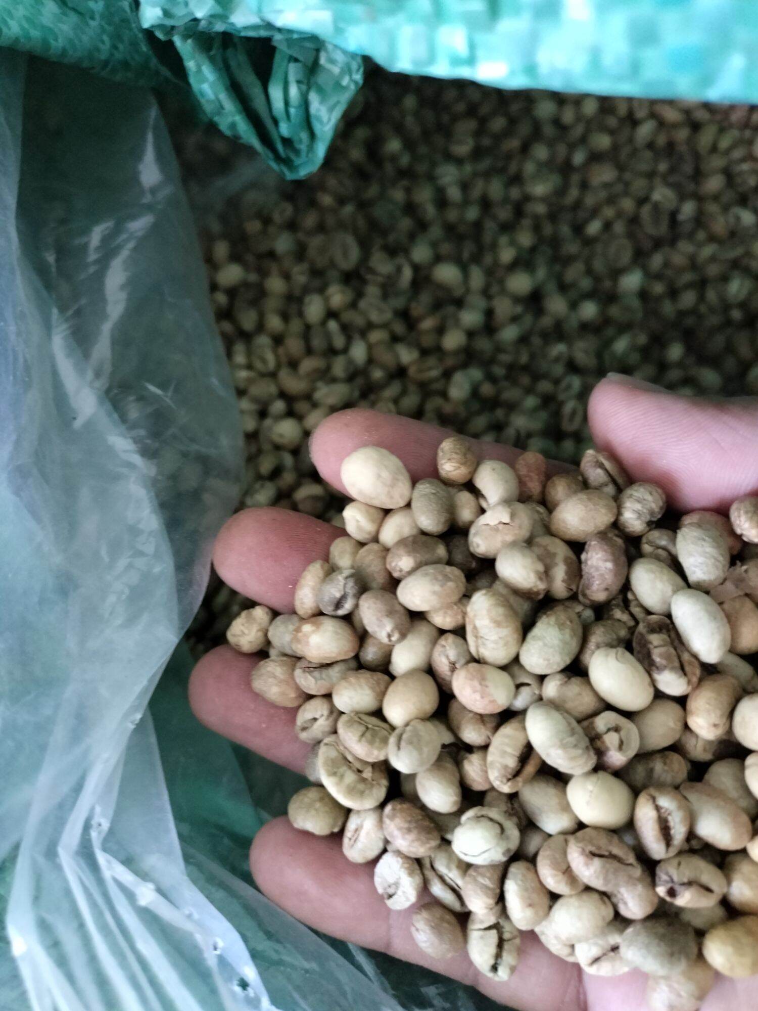 cà phê hạt,500g, (Robusta+culi+arabica)
