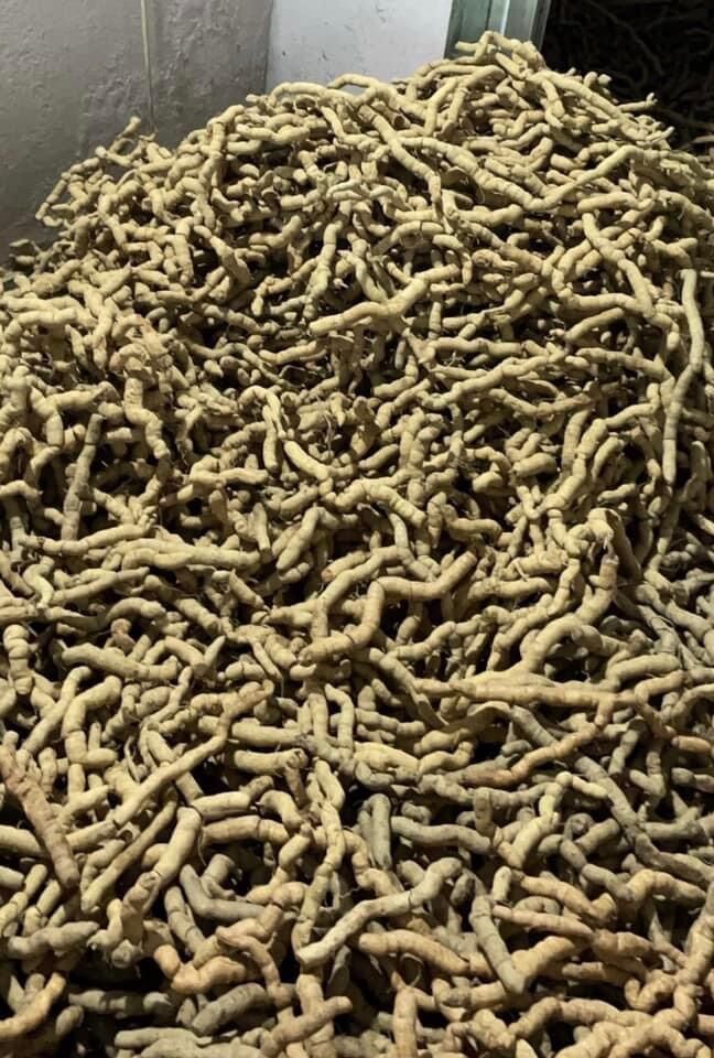 Ba Kích Tím Tươi 1kg