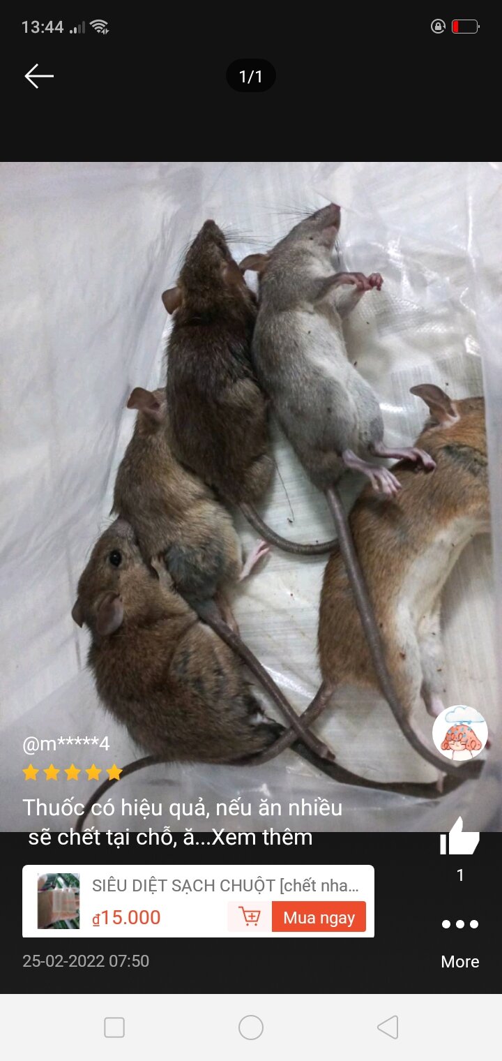 siêu diệt sạch chuột 🐀🐀 thuốc diệt chuột cực mạnh