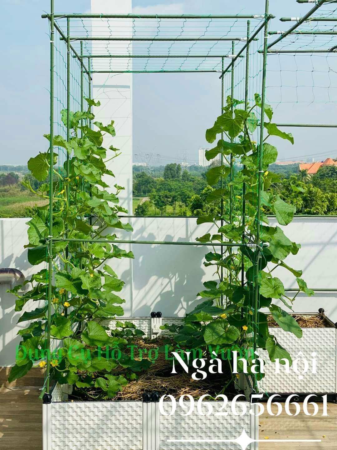 50 cọc chống cây làm giàn 1m8 fi11