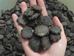 1kg hạt gấc chưa rang