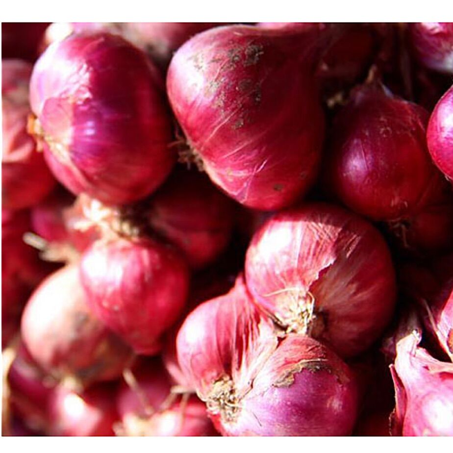 [HCM]Củ hành tím Ấn Độ 500g(quận Tân Phú)