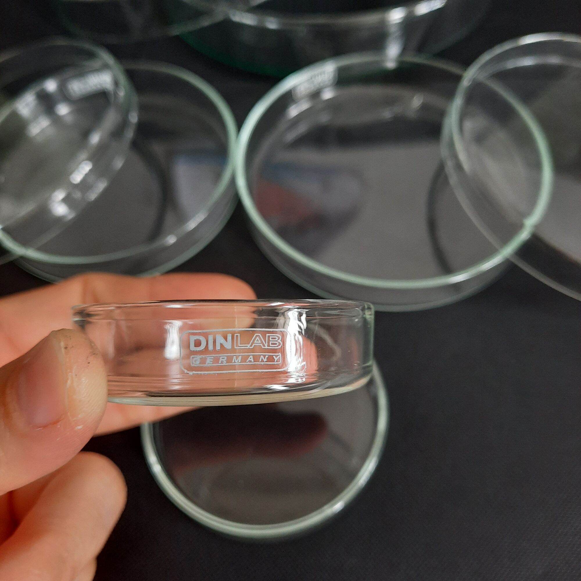 [Dinlab-Đức] 1 CẶP ĐĨA PETRI THỦY TINH NHIỀU SIZE