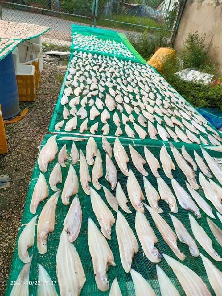 khô cá lưỡi trâu 1kg