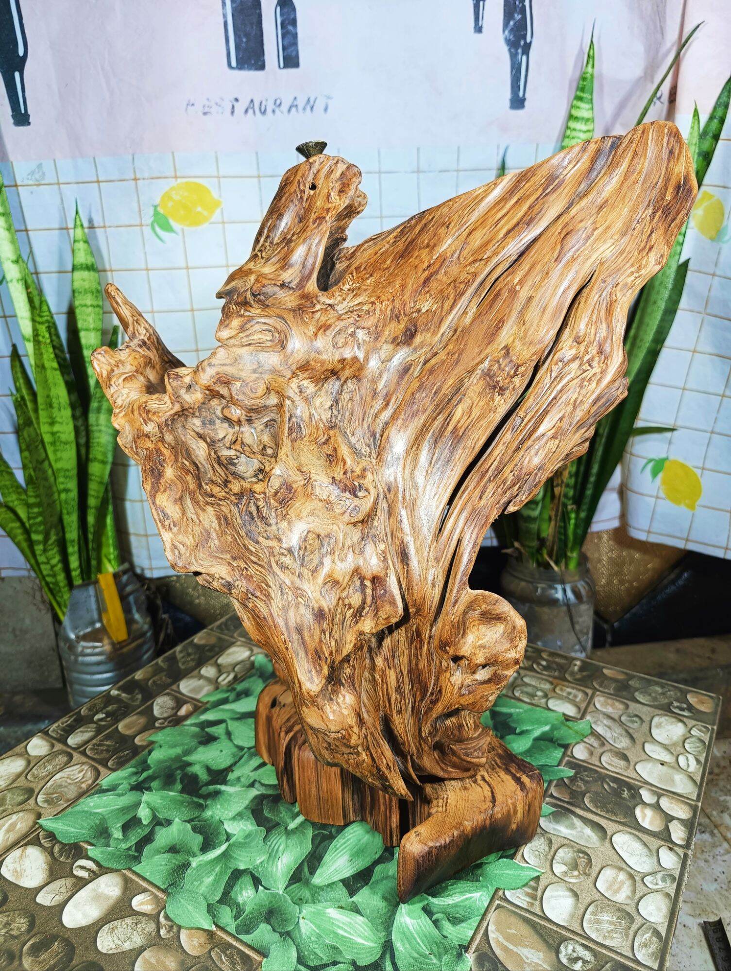 lũa gỗ thơm ngọc am đỏ hà giang