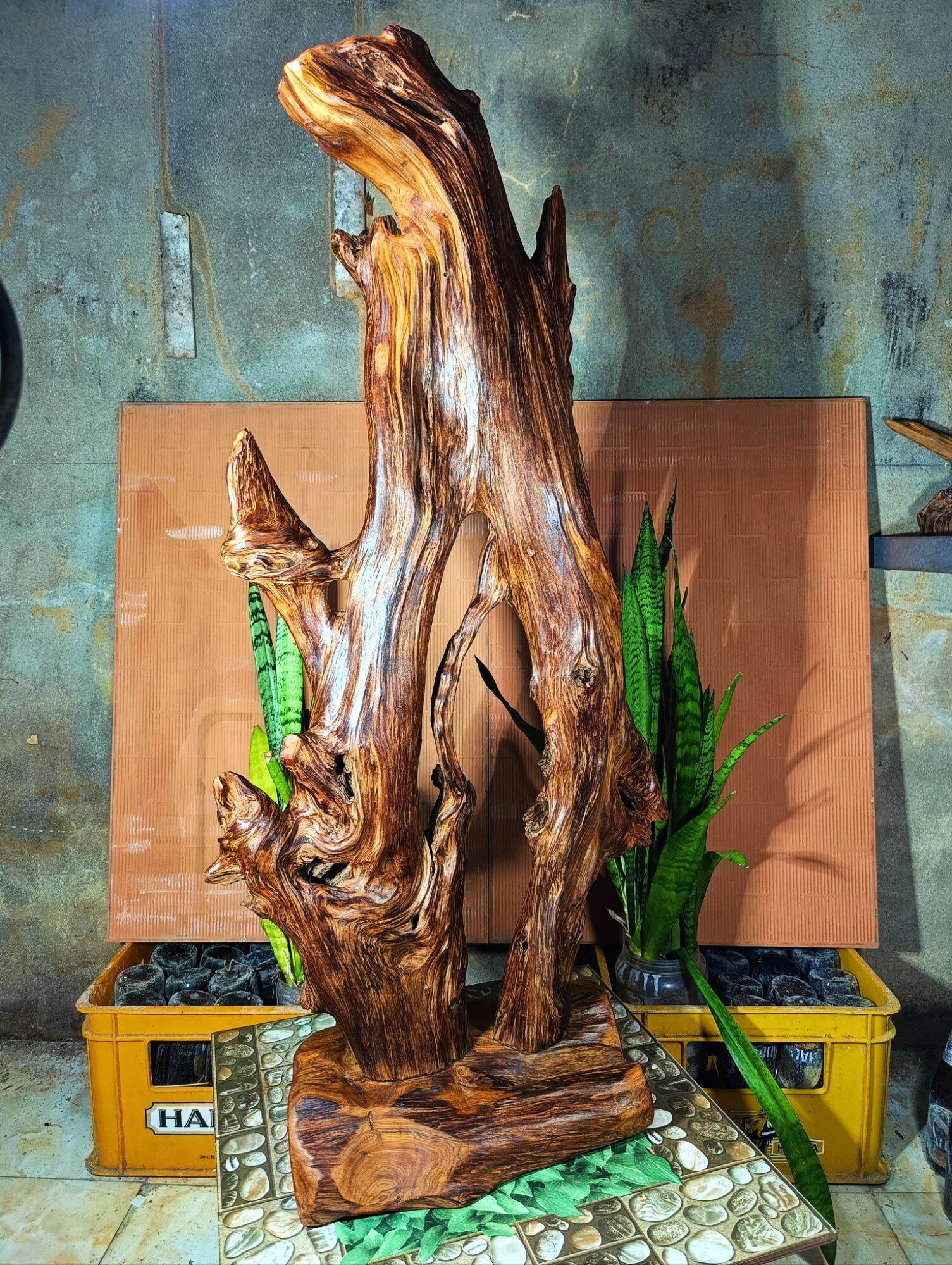 lũa gỗ thơm ngọc am đỏ hà giang