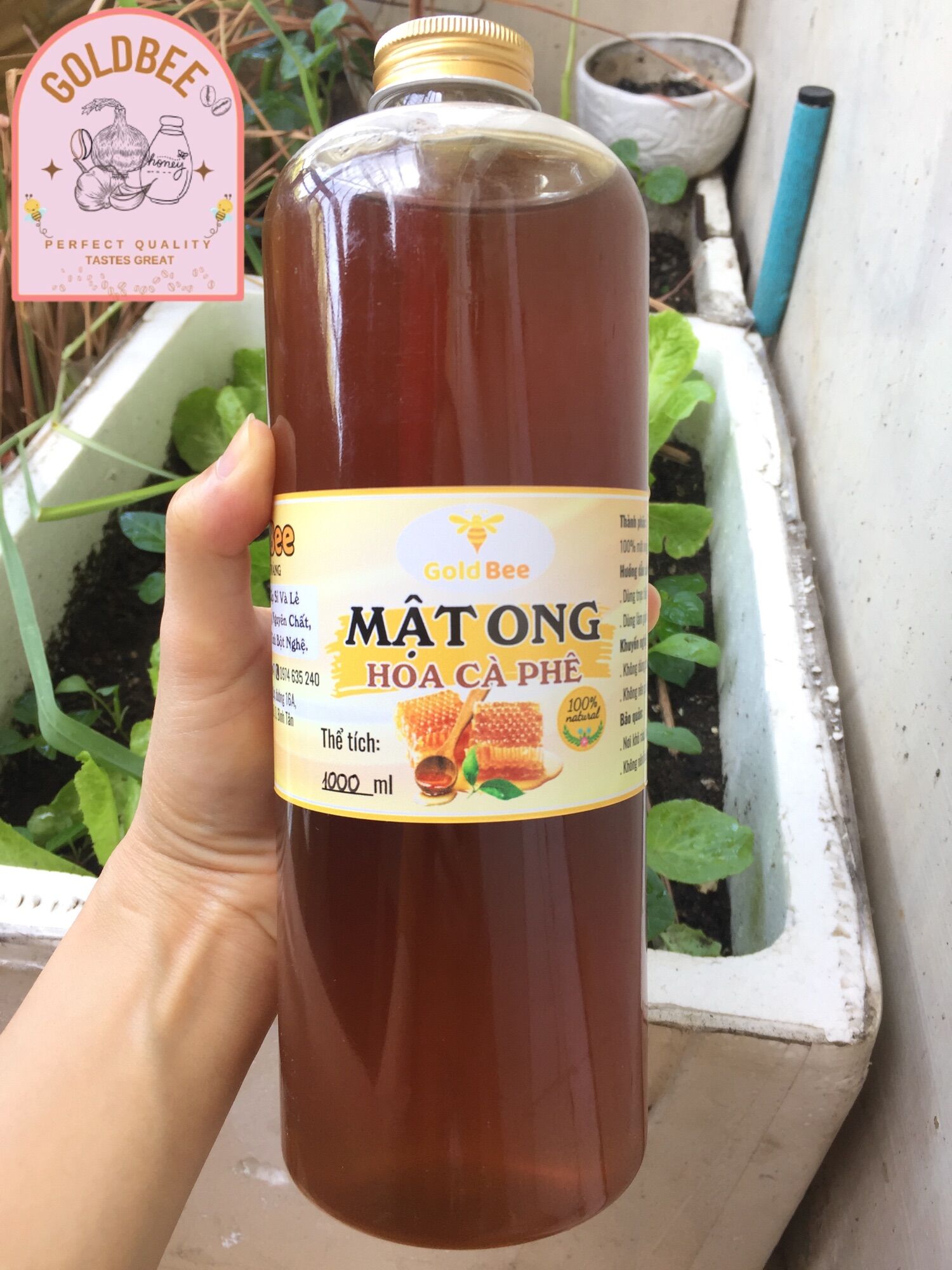 Mật ong nguyên chất hoa cà phê Daklak