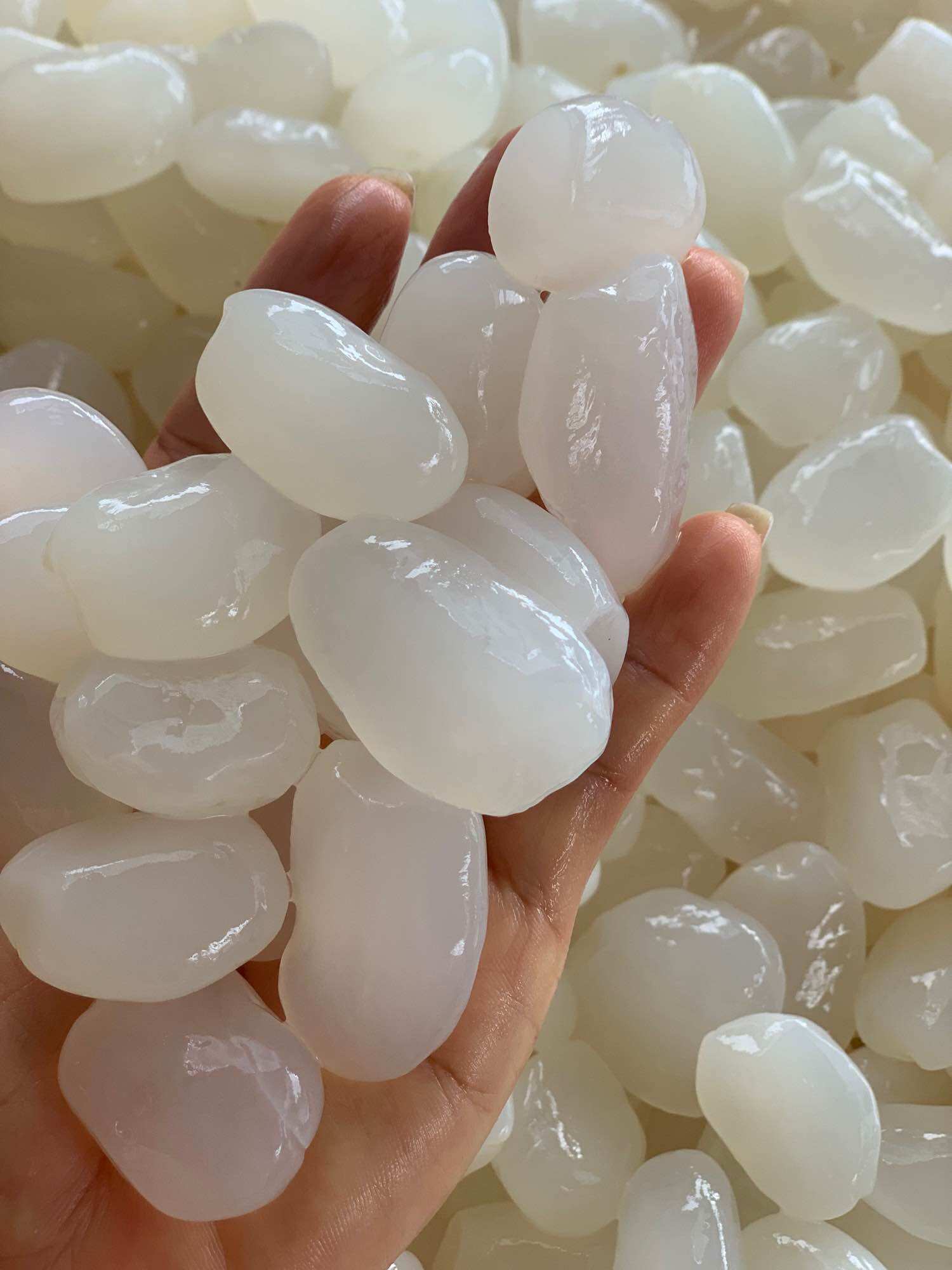 1kg Hạt Đác Tươi Nha Trang Size Trung Mềm Dẻo Không Cứng( Có Hút Chân không)