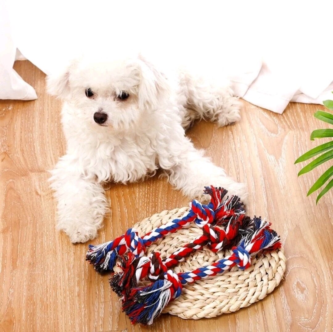Đồ chơi dây thừng cho chó mèo (màu ngẫu nhiên)