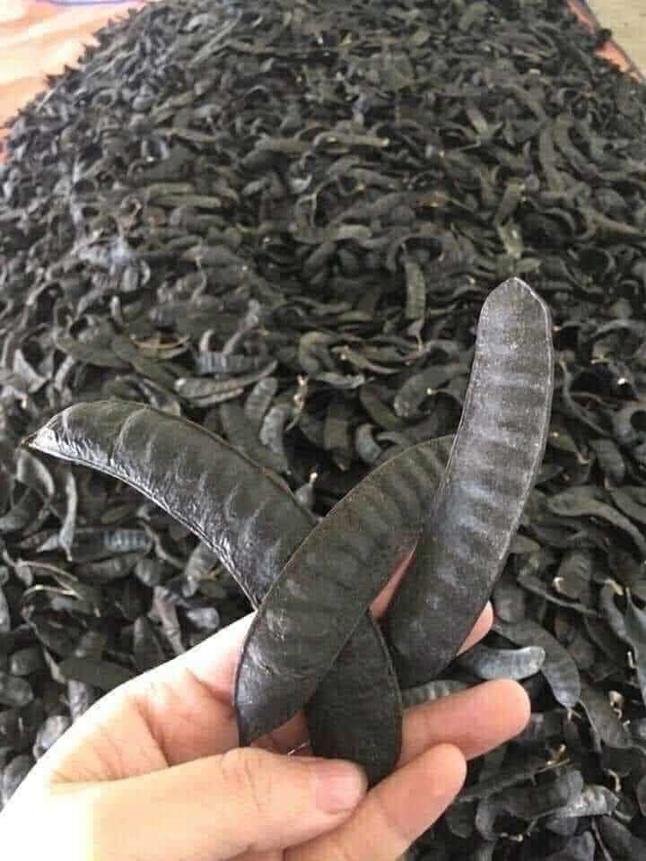100gr Quả  Bồ Kết Khô