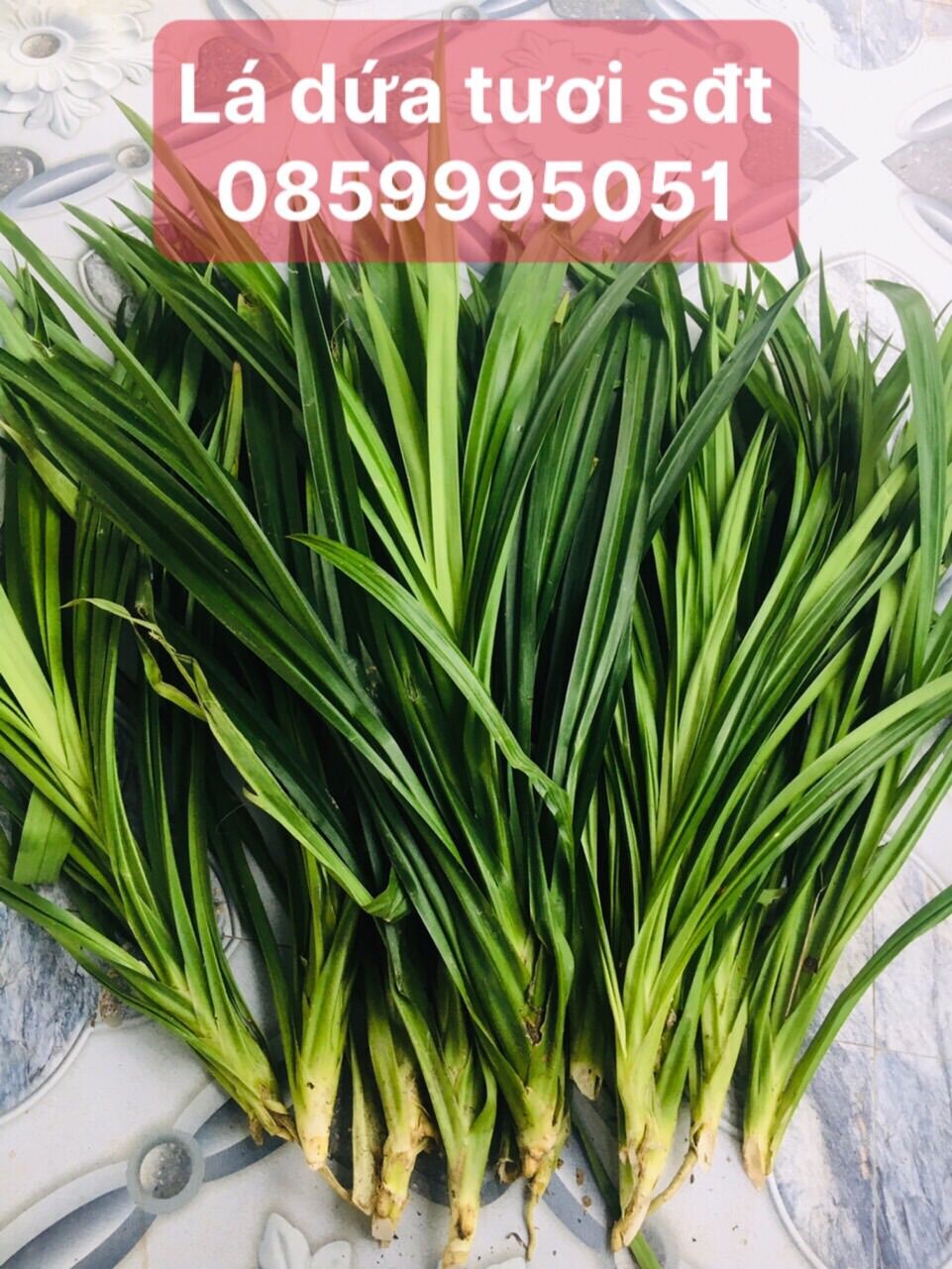 Lá dứa tươi 1kg