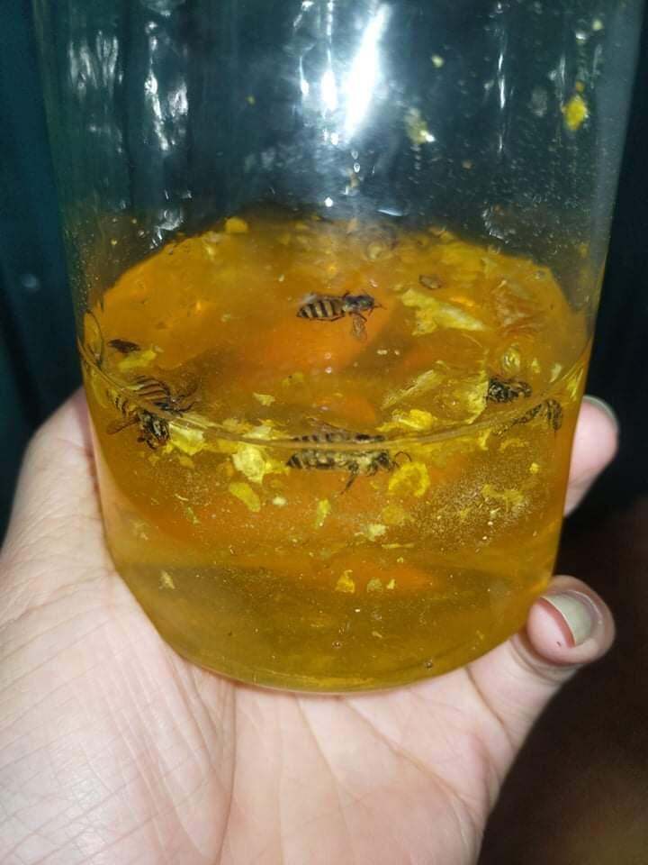 Mật ong hoa bạc hà nguyên chất 500ml