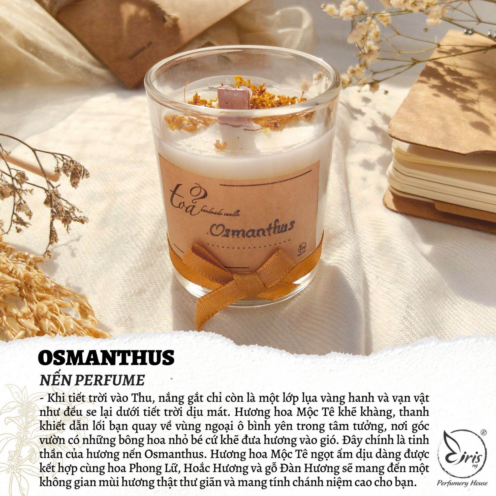 Nến thơm osmanthus iris