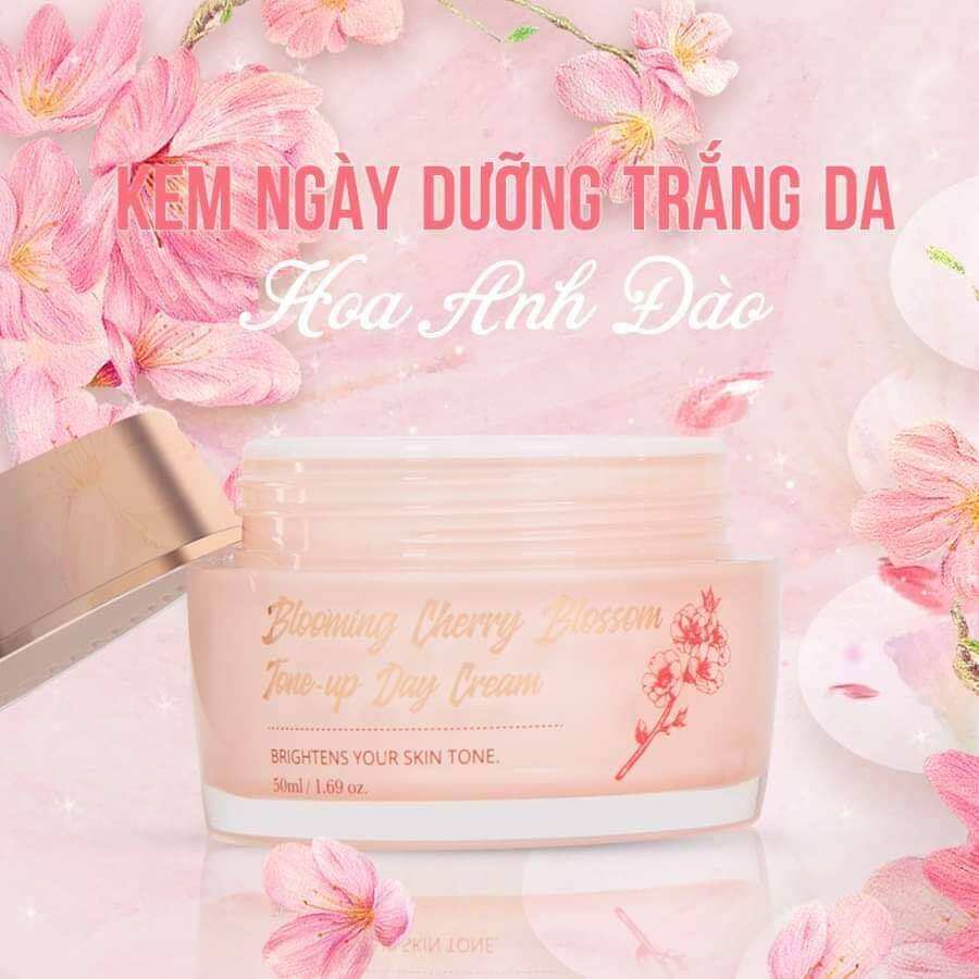 KEM ĐÊM HOA ANH ĐÀO YHL[ CHÍNH HÃNG]
