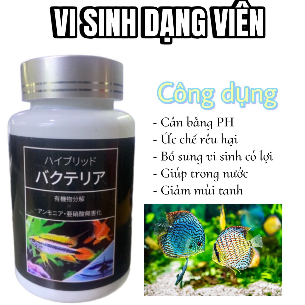 Vi sinh dạng viên nén aquarista lọ 100 viên