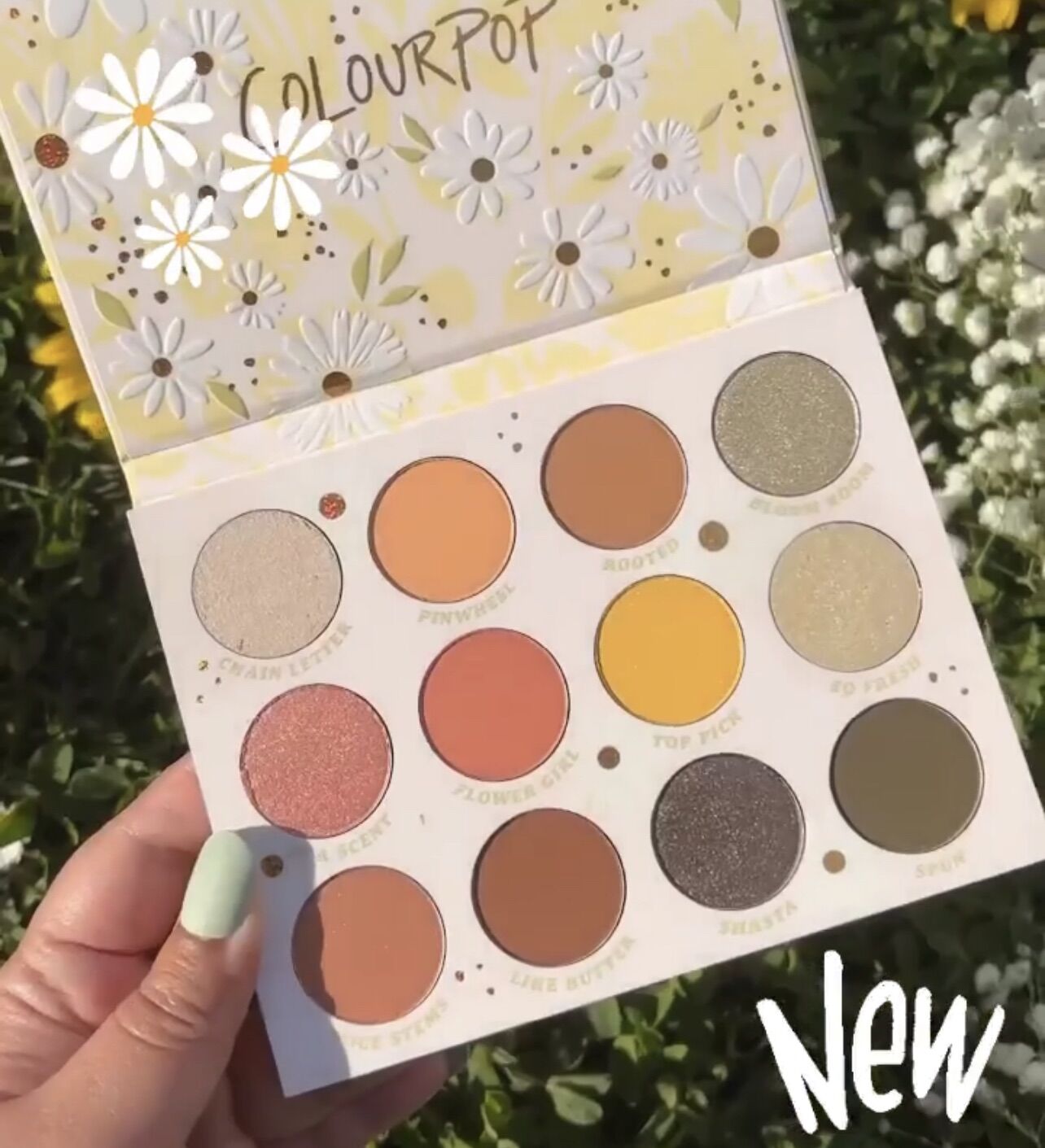 Bảng phấn mắt Colourpop Daisy does it eyeshadow palette siêu xinh và dễ dùng colorpop eyeshadow