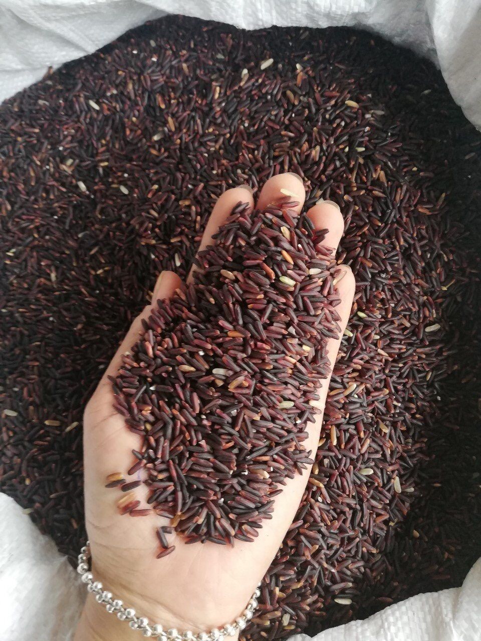 [HCM]Trà gạo lứt đỏ bịch 500gr