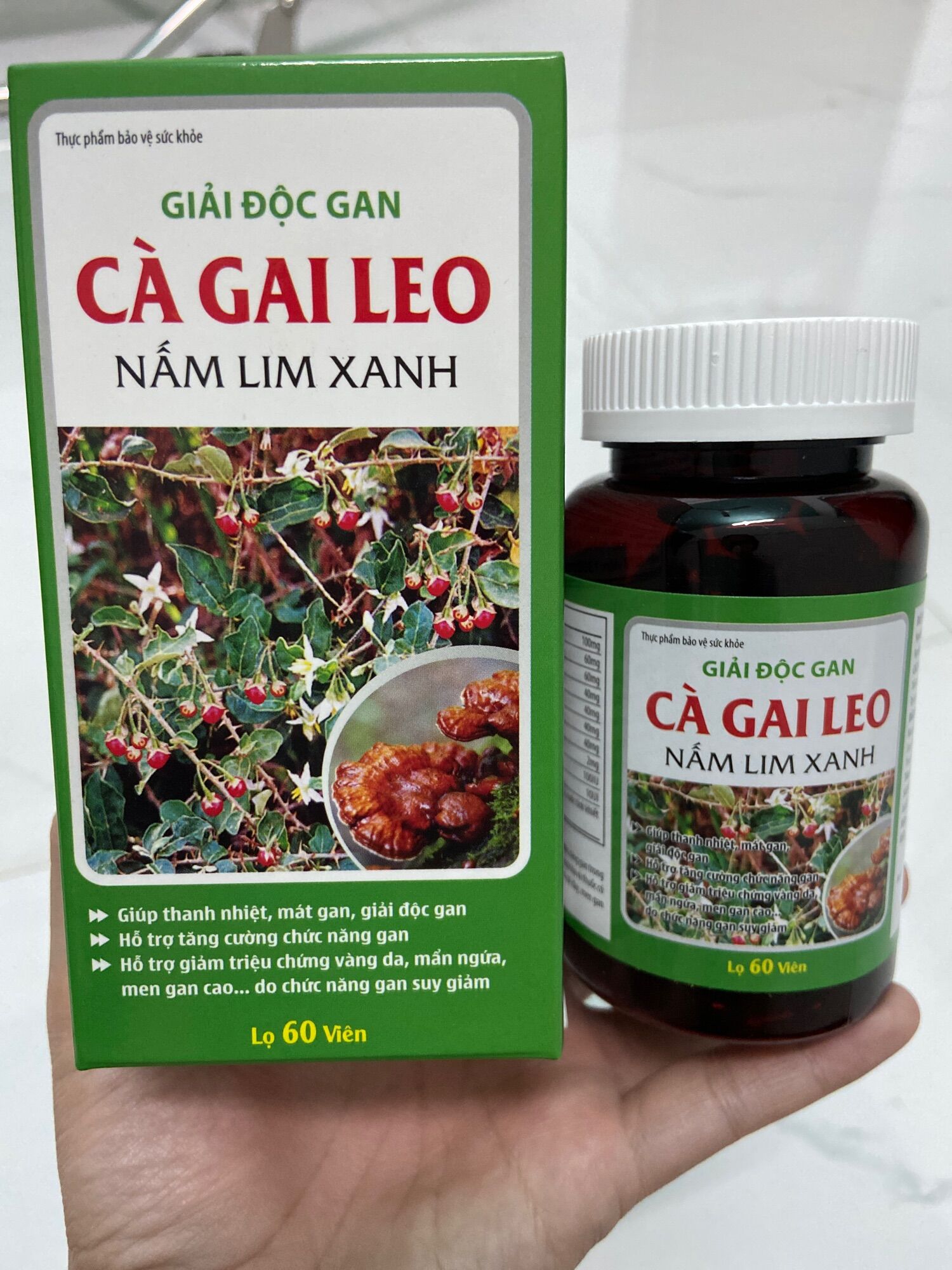 Cà gai leo nấm lim xanh lọ 60 viên