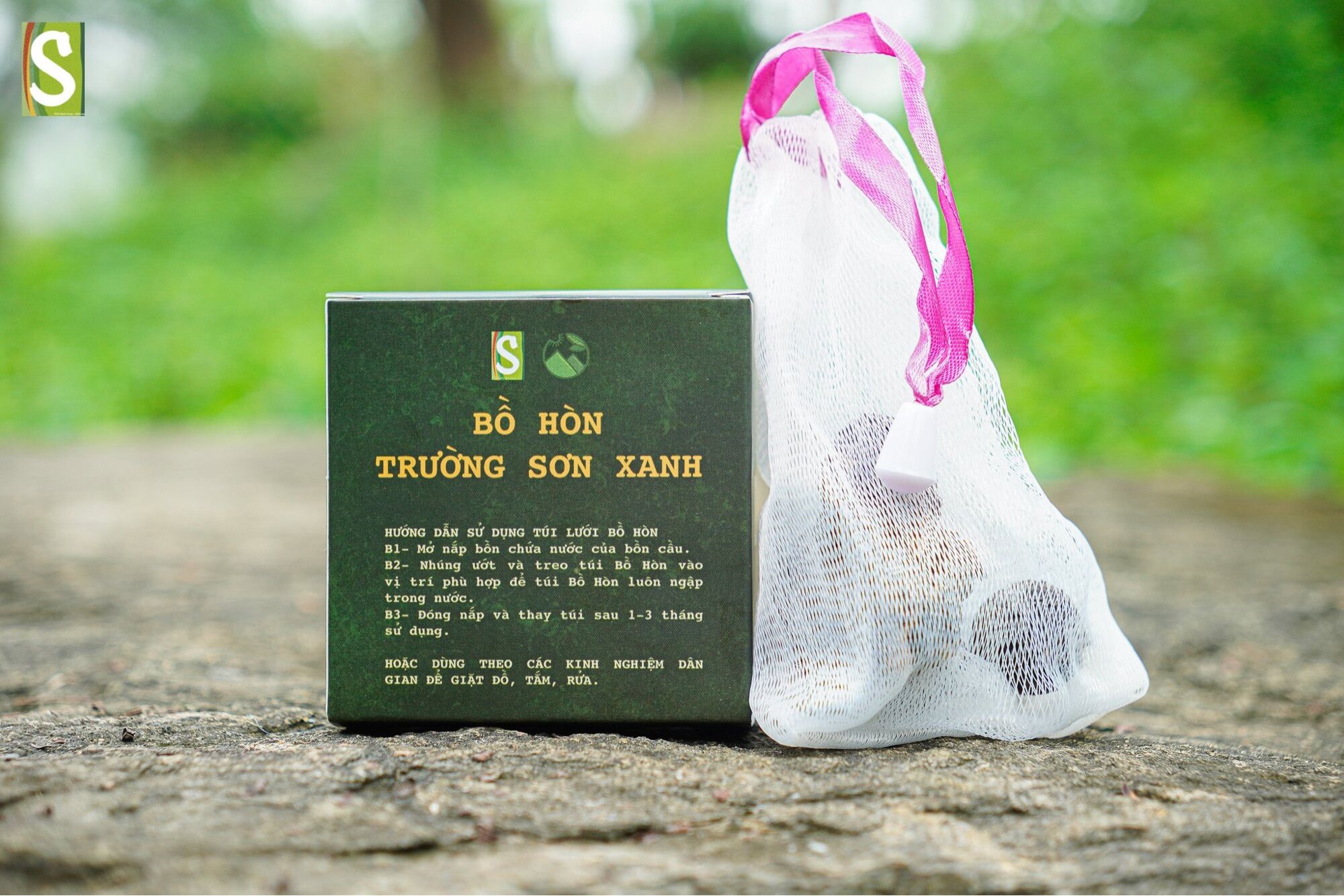 Bồ hòn Trường Sơn Xanh