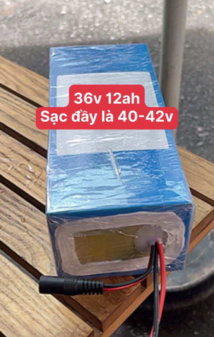 Pin xe điện 36v 12ah