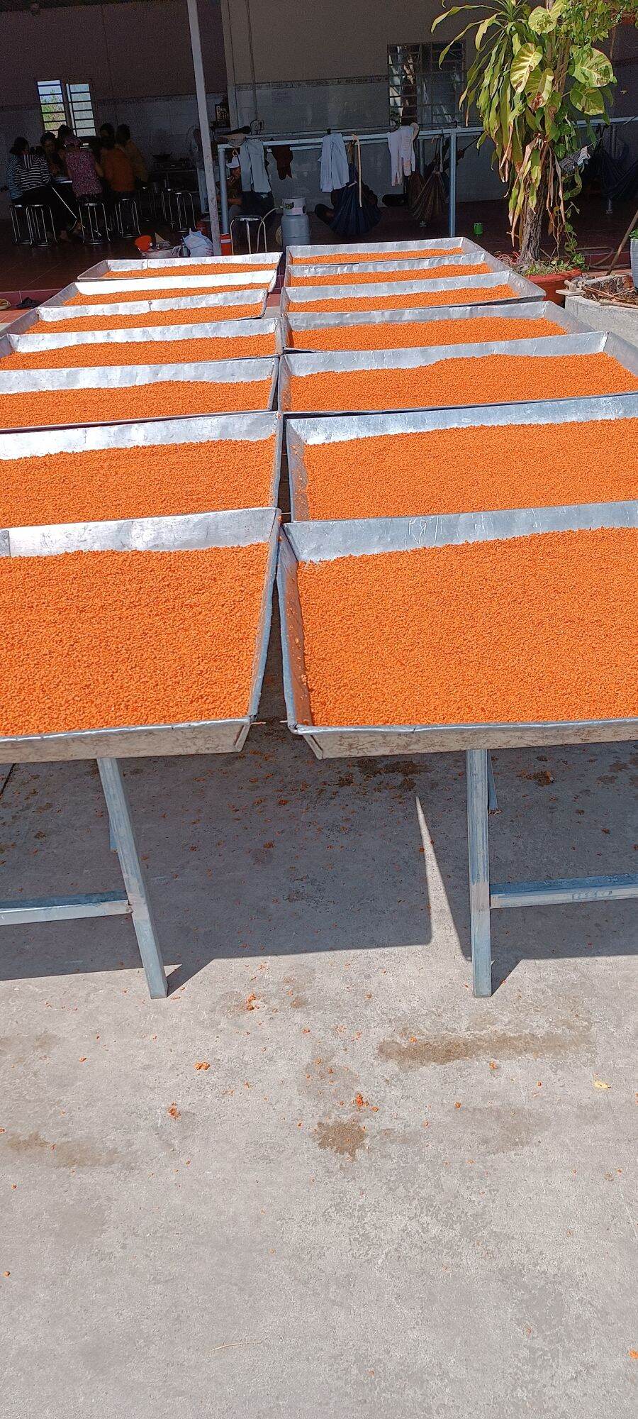Muối ớt tôm tây ninh ngon