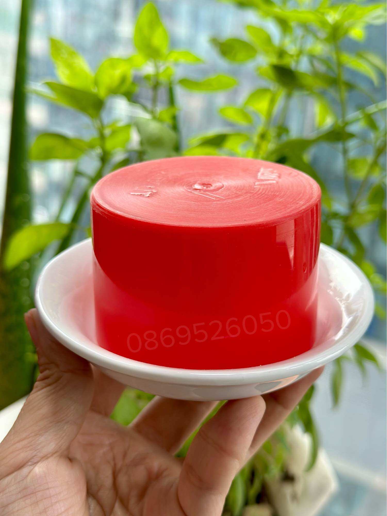 Trọn bộ dĩa chén sứ nắp nhựa tài xỉu xúc xắc