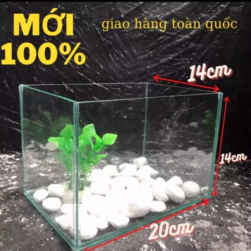 Chậu kính 20x14x14