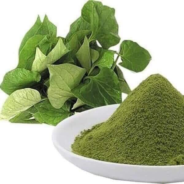 Bột diếp cá sấy lạnh hũ 500 gram