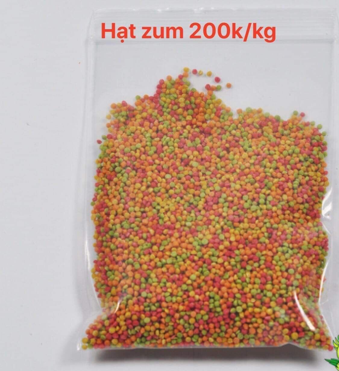Hạt zum cao cấp cho vẹt,chim ,rồng