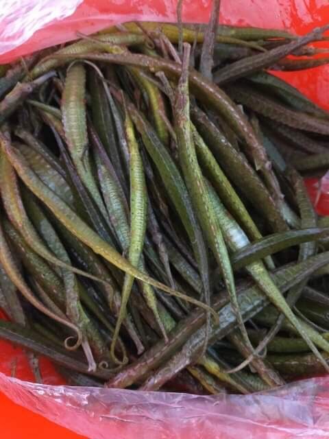 Combo tứ hai long vương ngâm ruou(Phú Quốc-Kiên Giang)