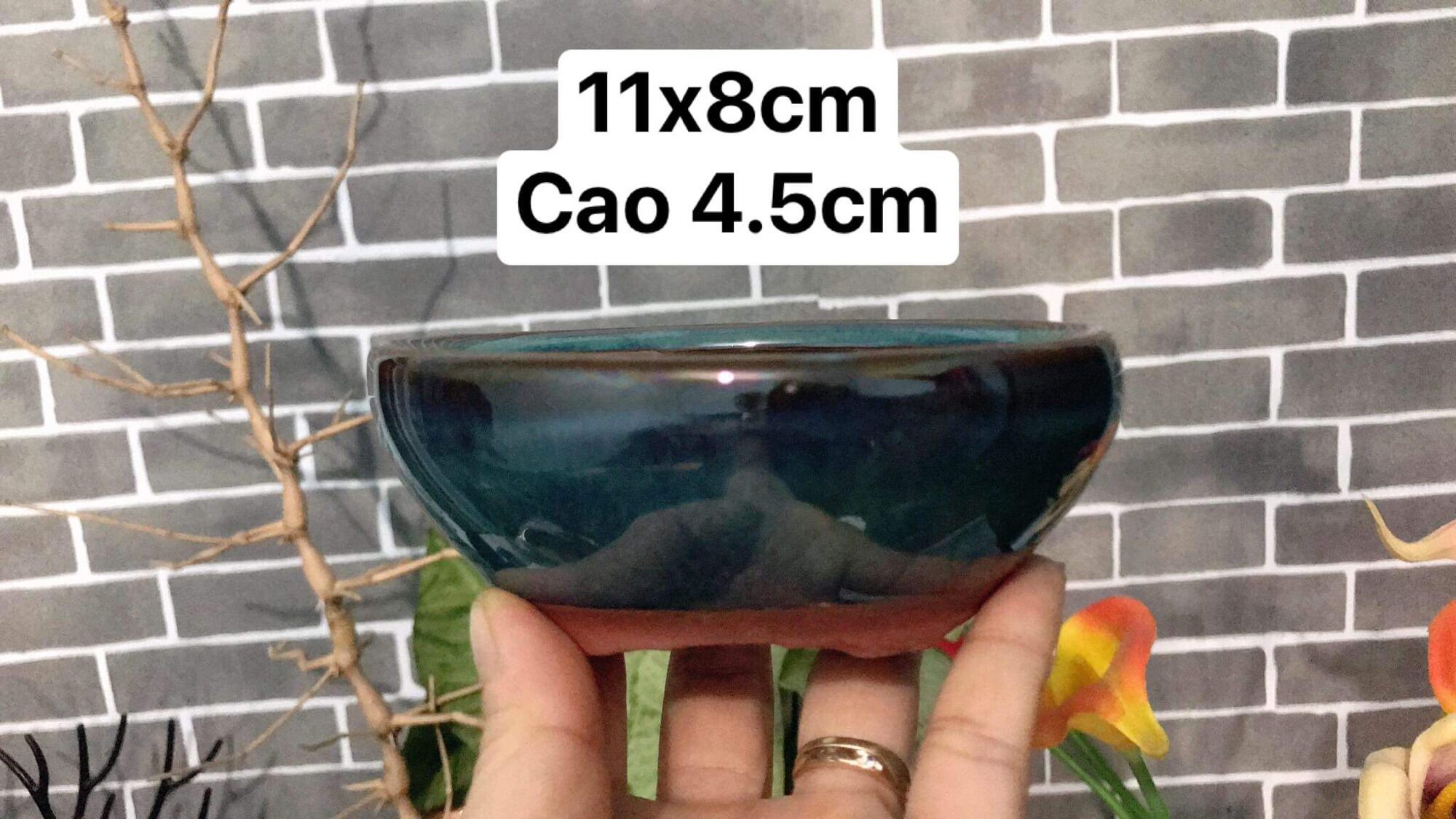 Chậu sứ trồng cây hình oval