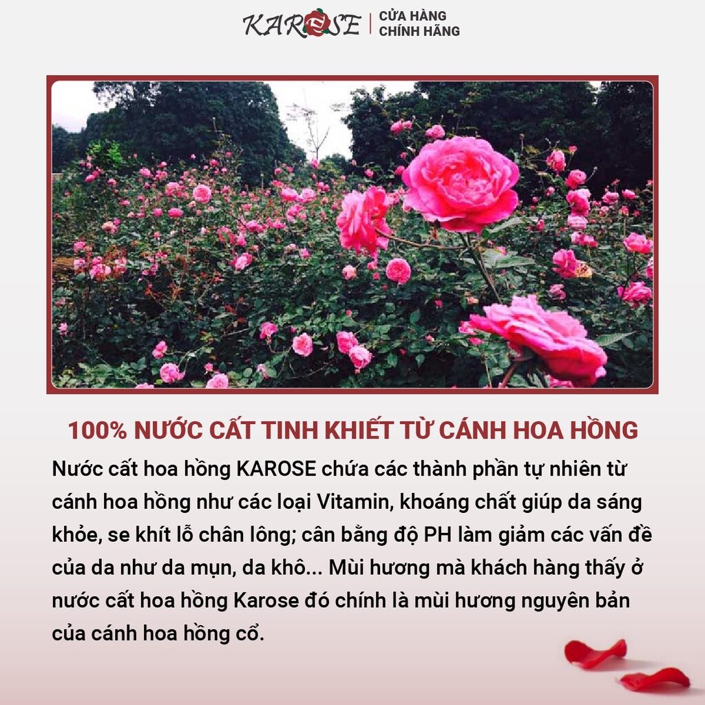 Nước Cất Hoa Hồng Karose 100ml