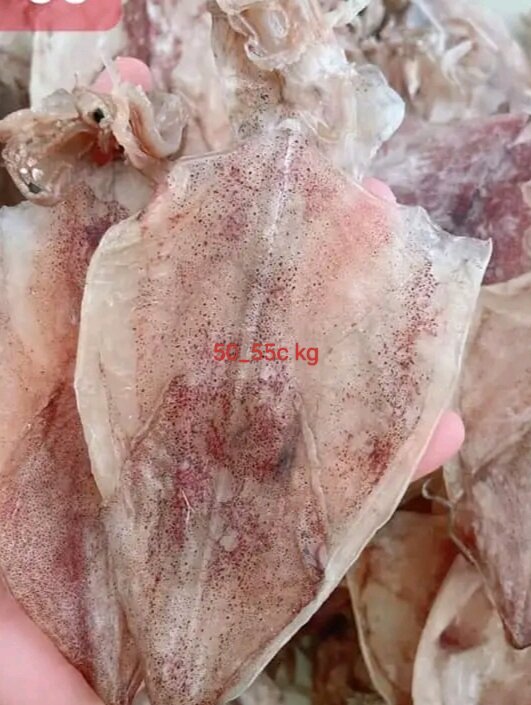 KHÔ MỰC 500gr loại 50_55c 1kg