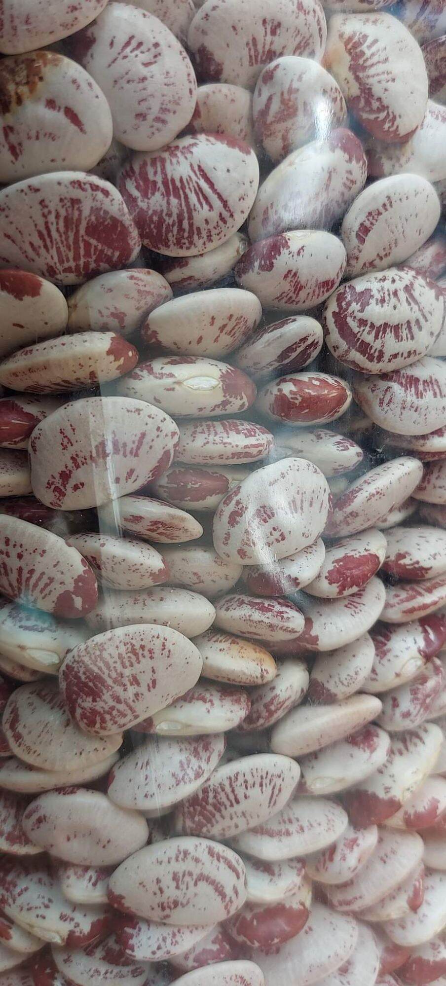 Đậu ngự 1kg