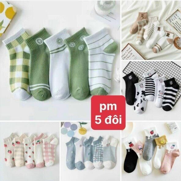 Sét 5 đôi tất - Vớ nữ cổ ngắn phong cách Hàn Quốc
