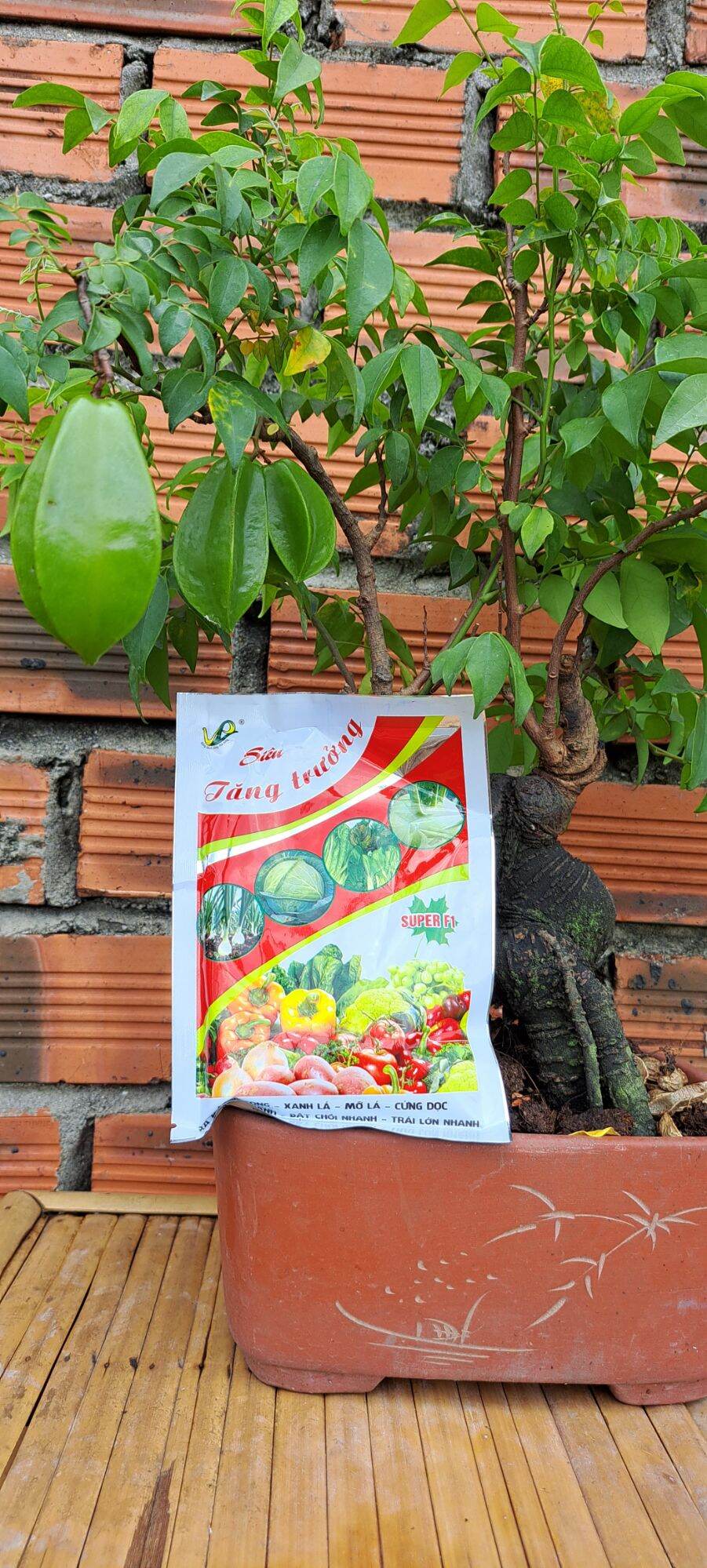 Phân bón magie nitrat 100g