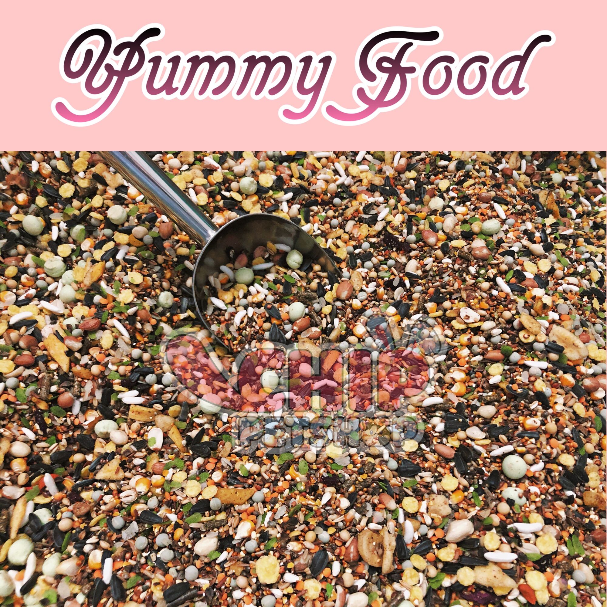 Thức ăn cơ bản Yummy