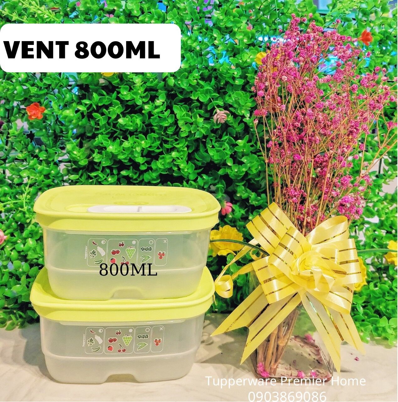 Set 2 hộp trữ mát có nút hô hấp Ventsmart 800ml