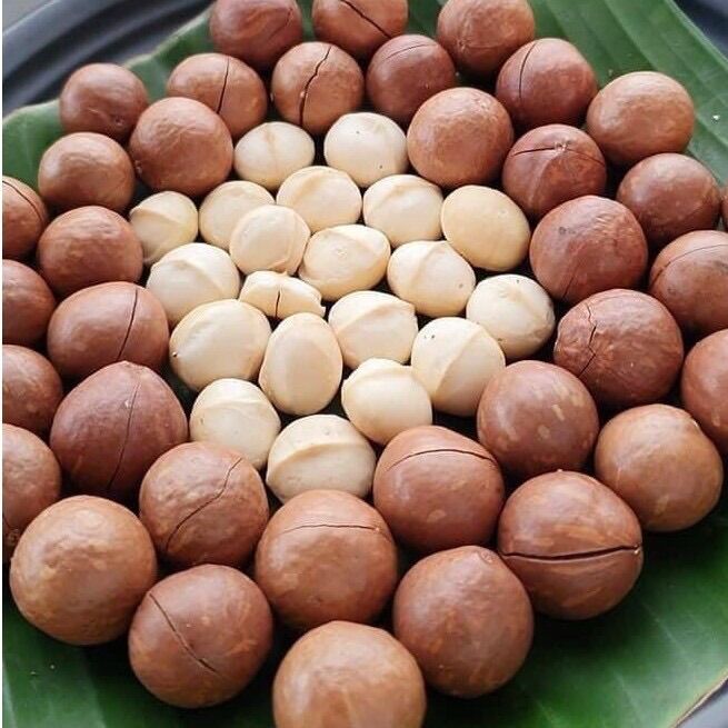 Hạt Mac Ca dinh dưỡng 500gr