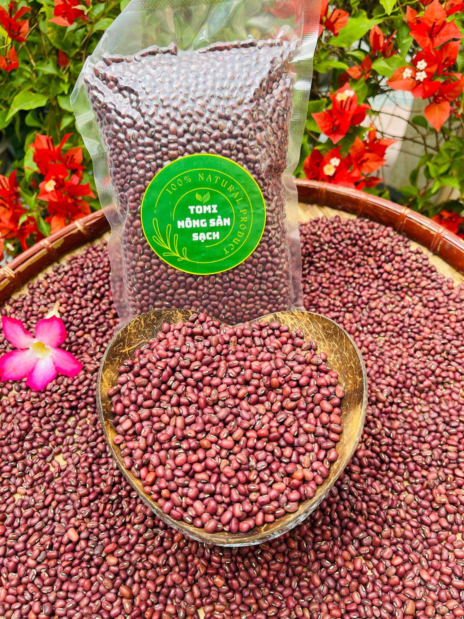 Đậu đỏ quê tây ninh