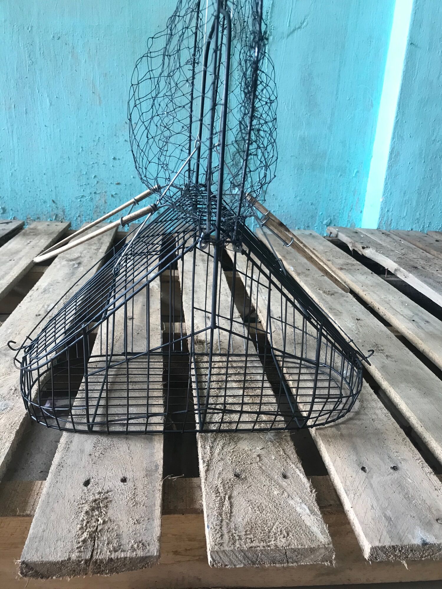 Lồng bẫy chim chào mào MẪU MỚI 2023
