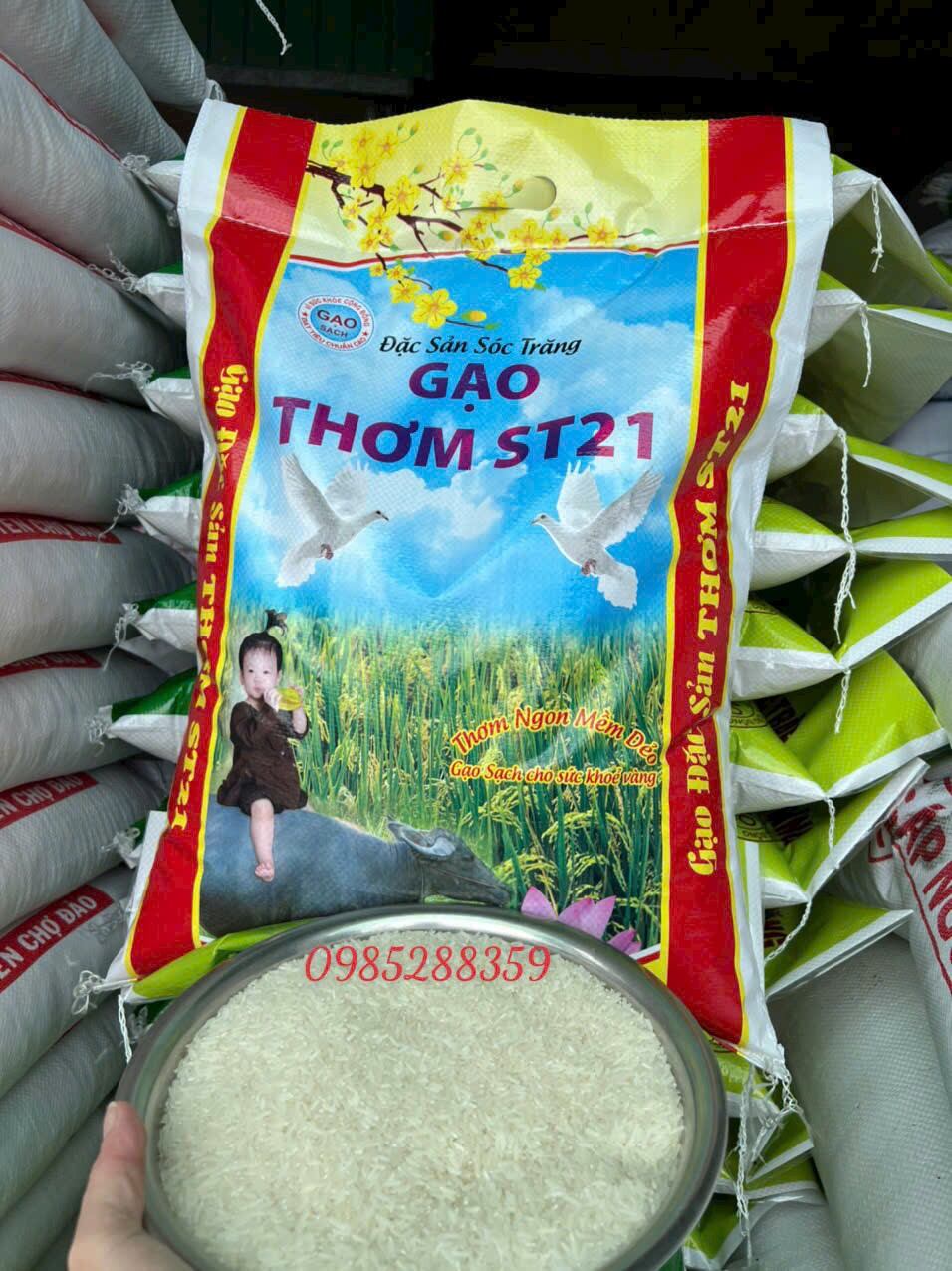 GẠO ST25- túi 5kg
