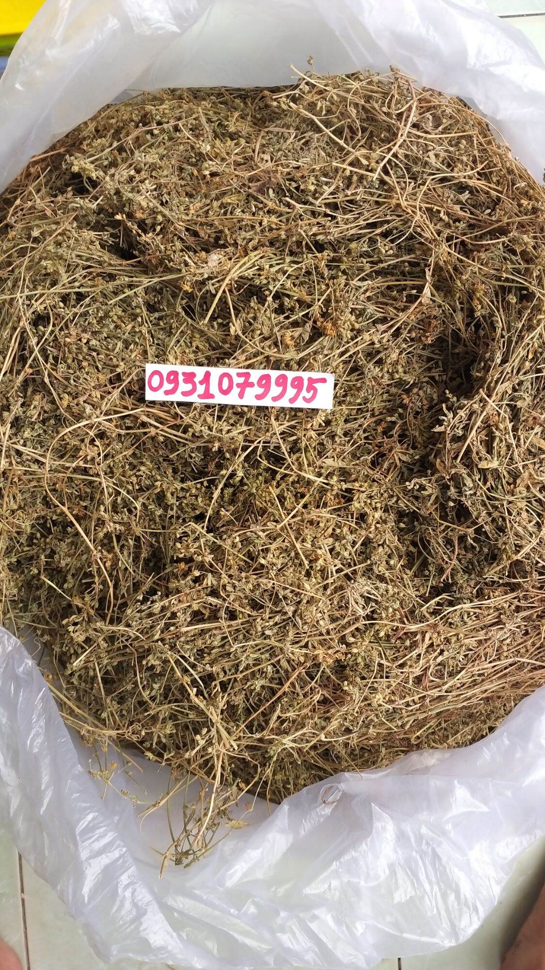 Rau đắng đất phơi khô 1kg